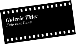 Galerie Title: Foto van: Luna